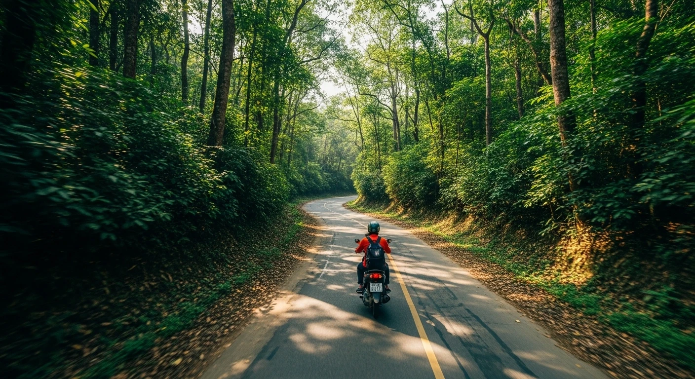 A winding, green jungle road leading up Son Tra Peninsula on a motorbike
