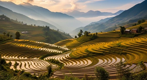 Muong Hoa Valley: The Trekking Heart of Sapa