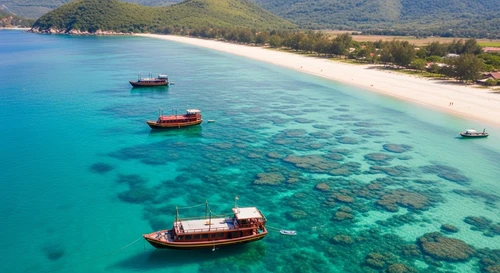 Quy Nhon Escape: Ky Co Beach, Eo Gio, and Jumping Snails